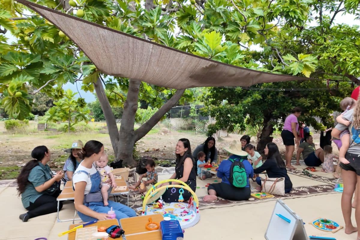 Board visit to Ka Paʻalana site
