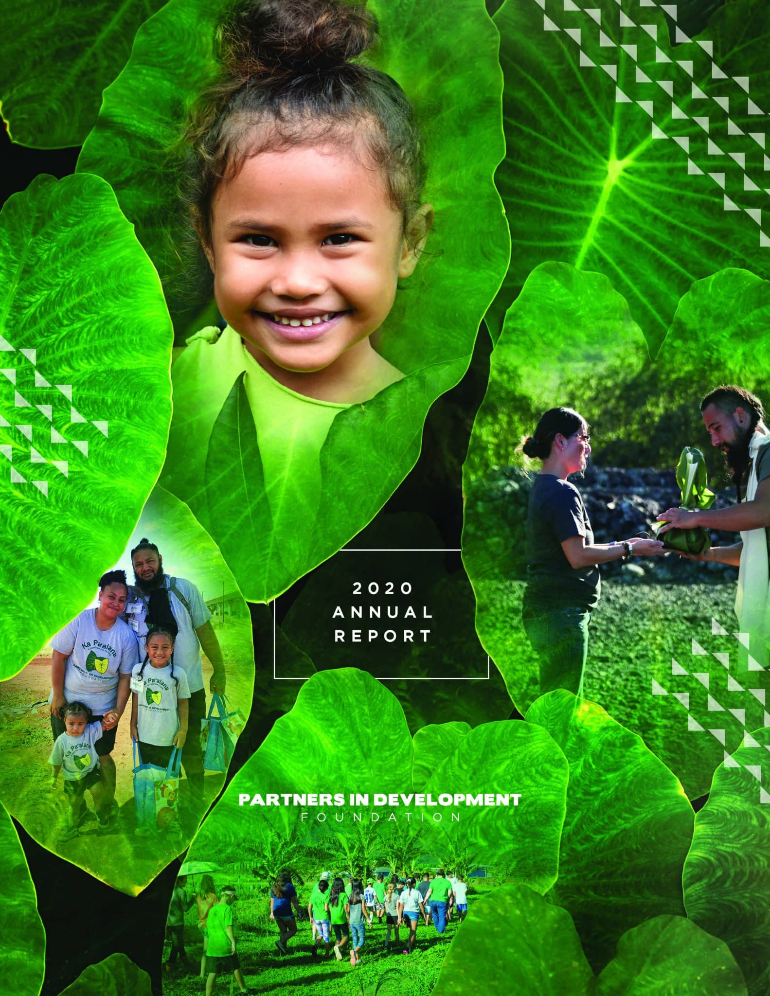 PIDF20 Annual Report